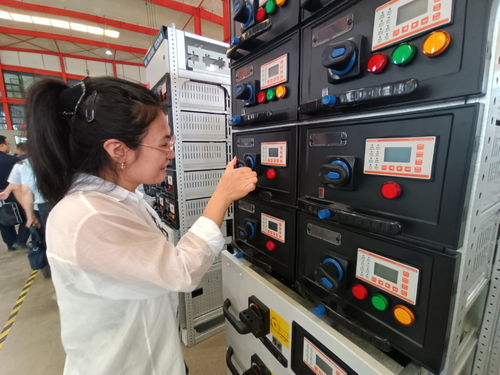 建設(shè)國家區(qū)域中心城市工作一線跟班學習干部赴長城電氣調(diào)研