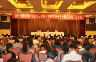 鄭州融資性擔(dān)保機構(gòu)助力小微企業(yè)融資 政策支持與市場前景分析