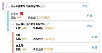 區(qū)分非融資性與融資性擔(dān)保 以煙臺(tái)弘鑫為例解讀擔(dān)保行業(yè)分類