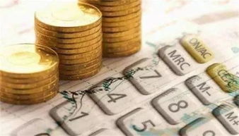 金融的耐心 融資性擔(dān)保行業(yè)的價(jià)值與韌性